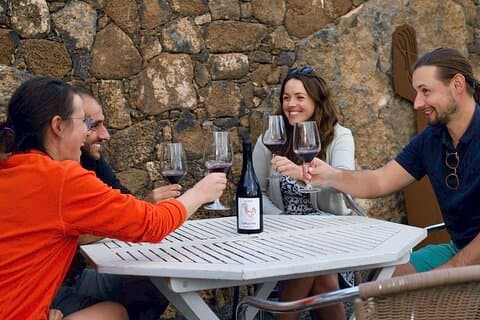 Vineyard Tour with Wine Tasting and Local Products