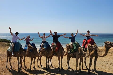 Camel Ride Tangier