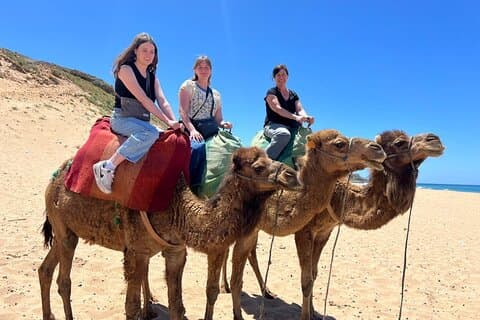 Private Luxury Tangier Tour From Malaga / Marbella or Tarifa