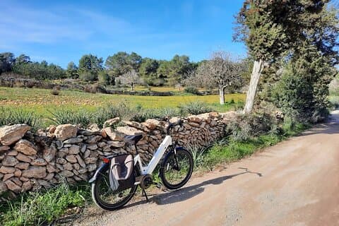 Discover Ibiza by E-Bike Santa Gertrudis de Fruitera