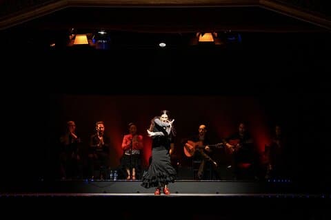 Flamenco Show at Tablao La Carmela with Tapas Dinner