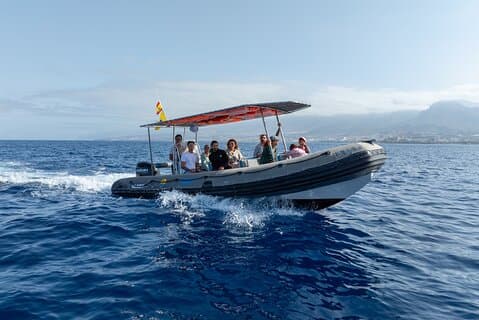 Exciting News About Our Boat!
We've made some upgrades:
Brand-new roof for more comfort, more space between seats, improved views, perfect for capturing stunning photos!
See you on board!