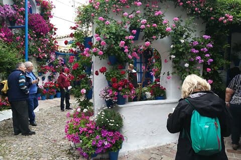 Courtyards of Cordoba Guided Tour