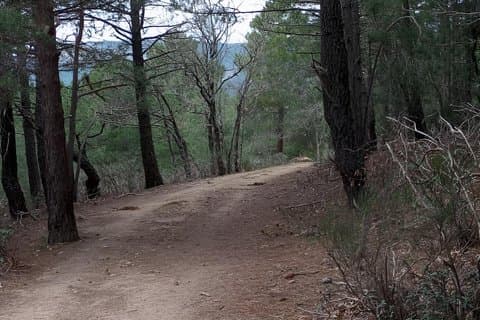Madrid: Hiking Boutique in the Sierra de Guadarrama with Guide