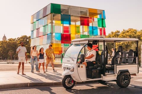 Malaga Essential PRIVATE TOUR in Electric Tuktuk 2h