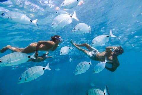 Ferry to Lobos Island + Snorkel from Corralejo