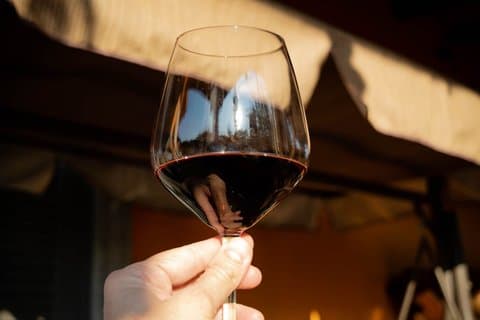 Spain Wine Tour 5 appellations of origin 3 days