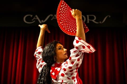 Barcelona Premium Flamenco Show: Tapas, Cocktail & Guitar Museum