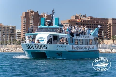 Dolphin watching on a Catamaran in Fuengirola