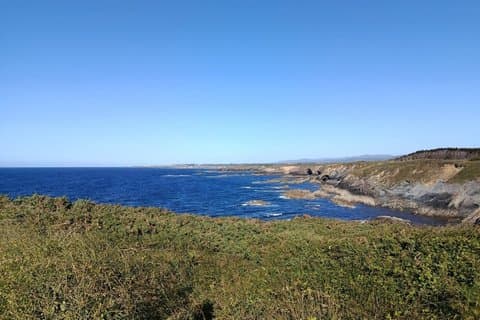 Guided bird watching tour of the Arnao Field