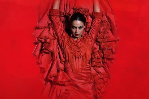 The Premium Experience at Teatro Flamenco Madrid