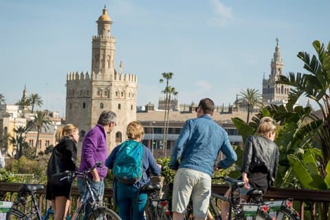 Guided Electric Bike Tour in Seville