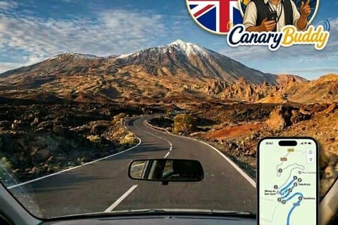 Car Tour Visit Teide National Park Tenerife