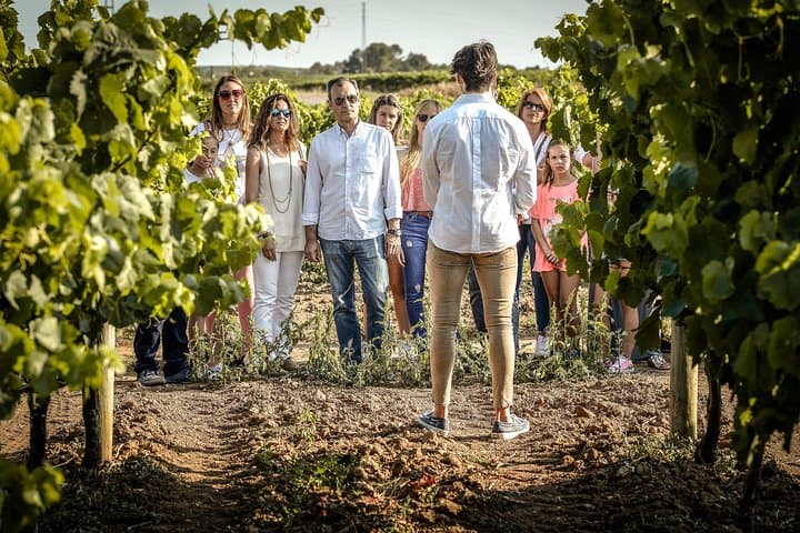 Winery tour & wine tasting in Penedès region 40min from Barcelona