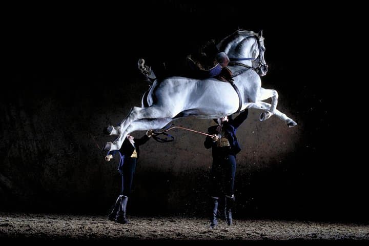 "How Andalusian horses dance" Equestrian Show