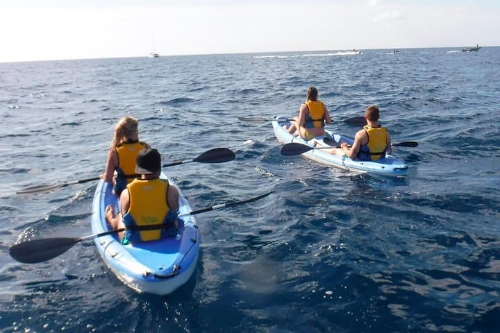 Guided Kayak Tour and Paella Lunch at the Beach in Valencia