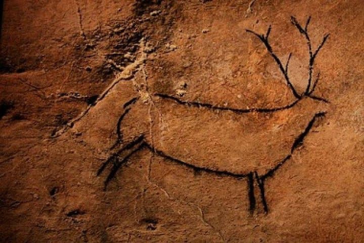 Deer in Las Monedas Cave
