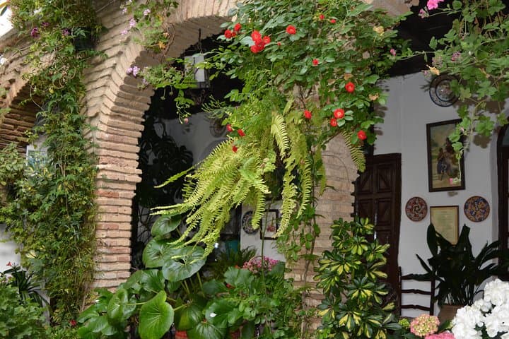 Festival de los Patios Cordobeses