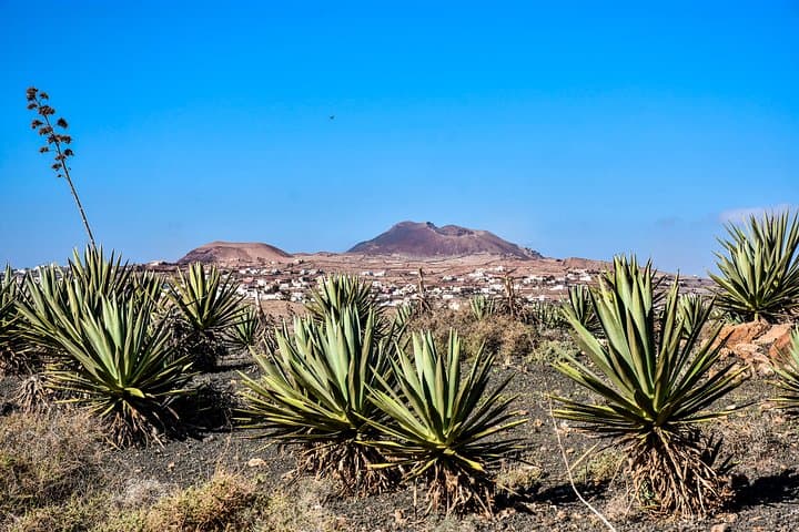 Buggy Fuerteventura Off-Road Excursions