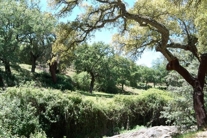 Countryside of Aracena