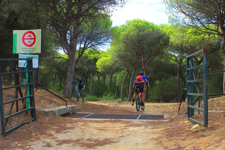 Mountain bike tour Vejer de la frontera