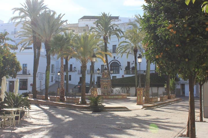 Mountain bike tour Vejer de la frontera