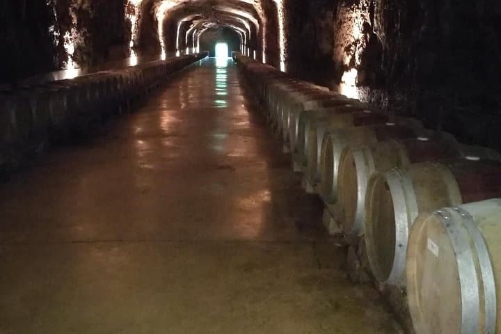 Rioja Wine Private Tour from San Sebastian