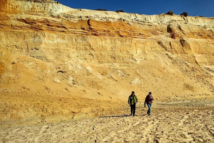 Donana National Park and El Rocío: Guided Tour from Seville