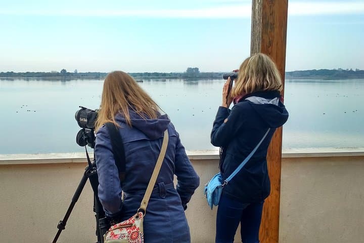 Donana National Park and El Rocío: Guided Tour from Seville