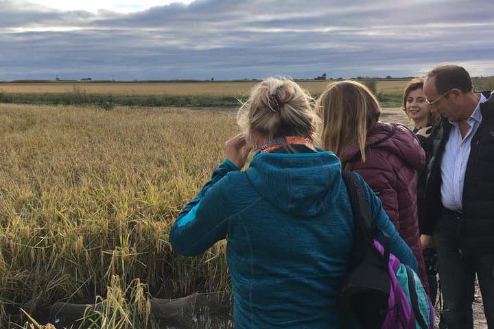 Donana National Park and El Rocío: Guided Tour from Seville