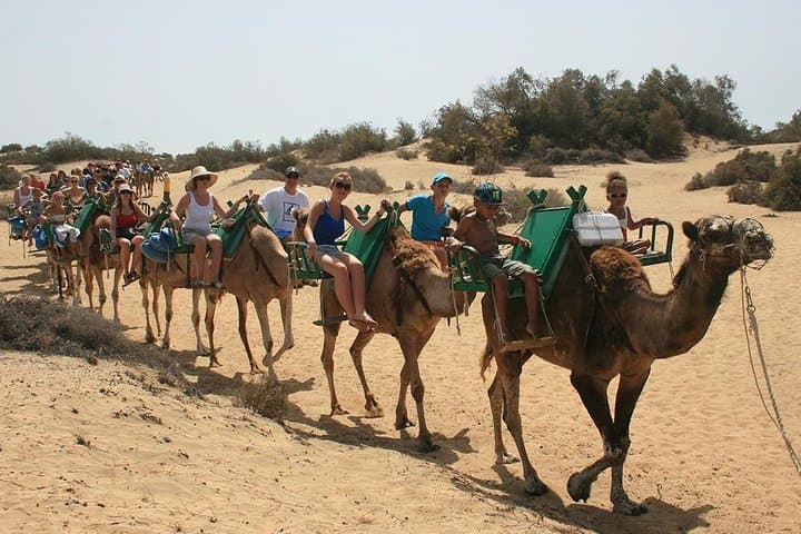 Camel Tour
