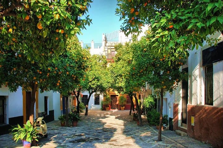 Private Sevilla Tour for families with children and teens...