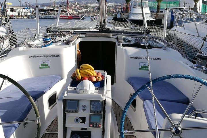 Whale and Dolphin Watching Sailing Boat with Drinks, Snacks and Swimming Time