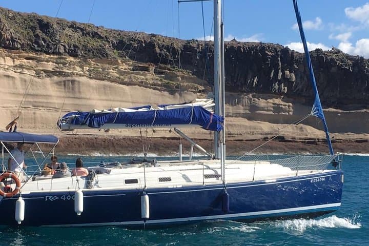 Whale and Dolphin Watching Sailing Boat with Drinks, Snacks and Swimming Time