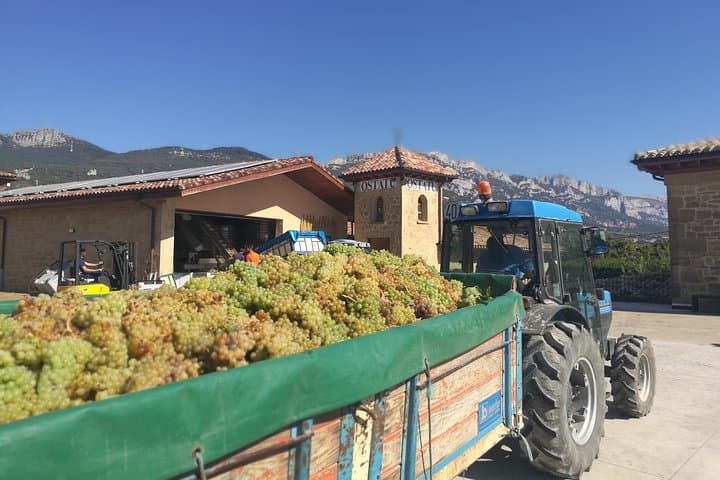 Rioja Wine Private Tour from San Sebastian