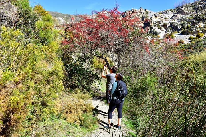 Hiking in the Canyon of the Monachil Cubs in Granada