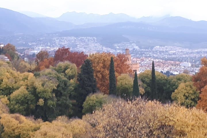 Join your Alhambra Ticket to a Tour