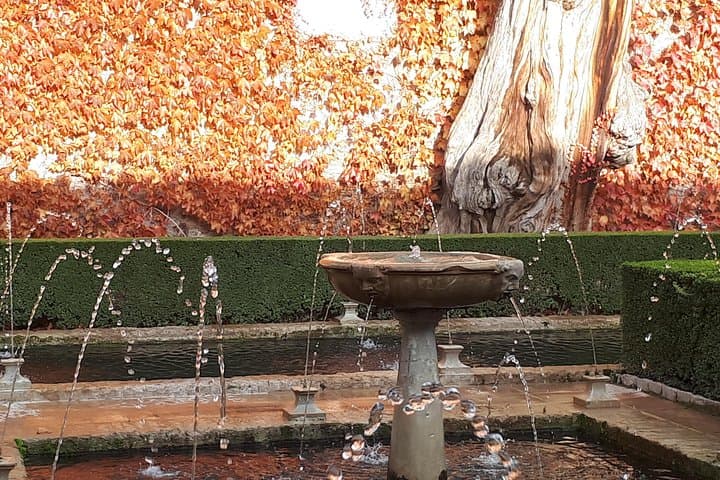 Join your Alhambra Ticket to a Tour