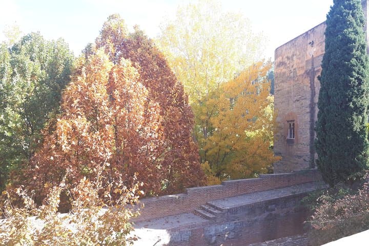 Join your Alhambra Ticket to a Tour