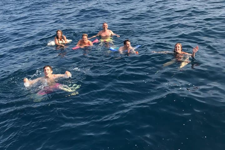 Join for a swim :)