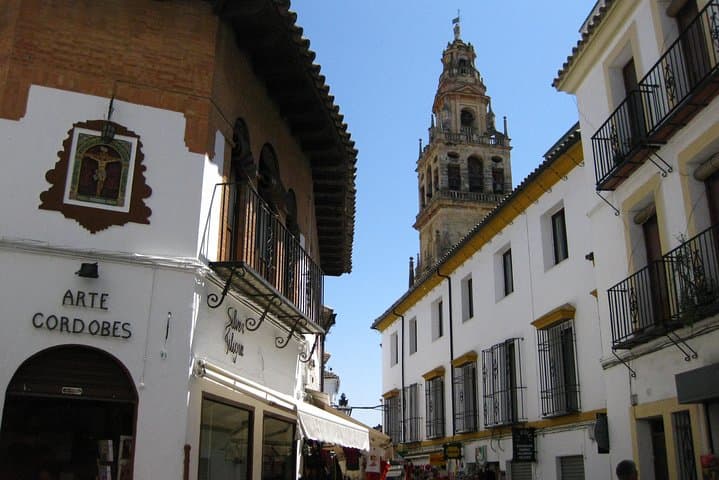 Cordoba Monuments Intensive Tour in English Tickets included