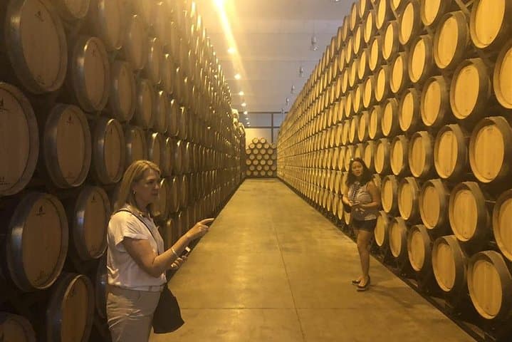 In the barrel room of one of the most attractive wineries in all of La Mancha