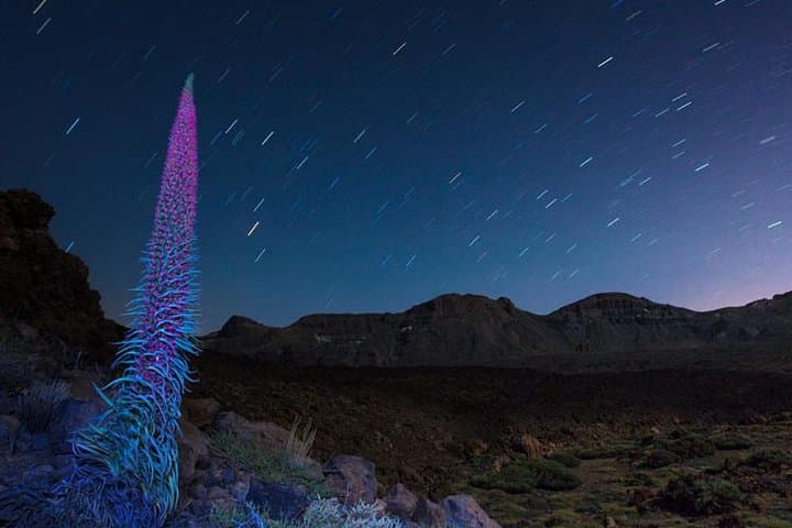 Teide under the stars