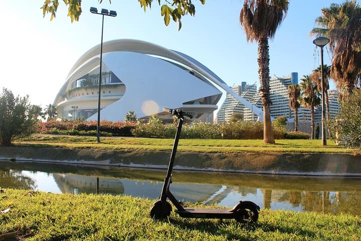 Electric Scooter Rental