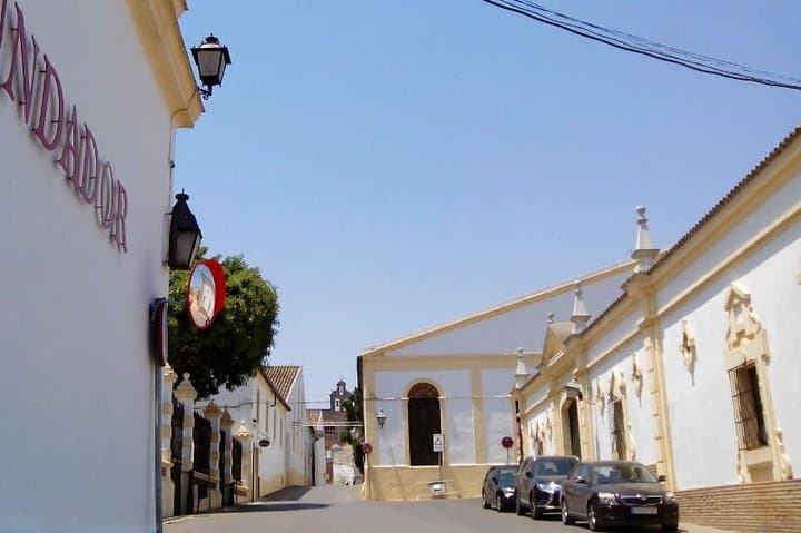 Discover Sherry in Jerez