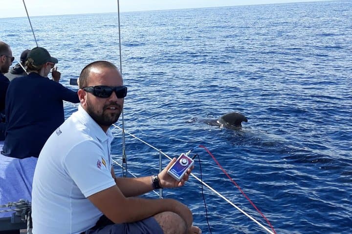 Private Yacht Tour With Whale and Dolphin Watching 33 Foot Boat