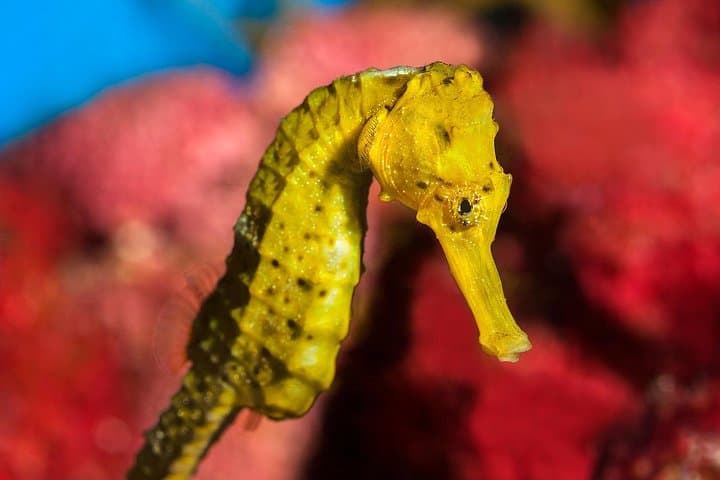 L'Aquarium Barcelona