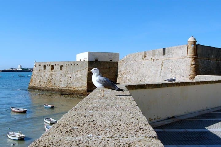 Cadiz Private Walking Tour