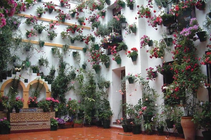 Cordoba Highlights: Guided Day Tour from Seville