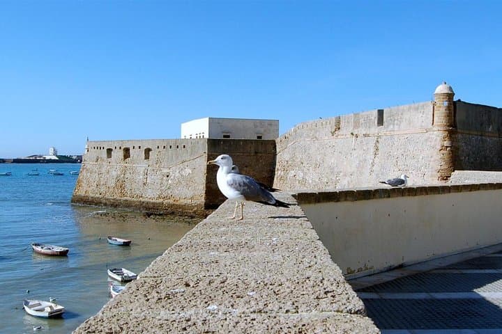 Private Walking Tour of Cadiz: includes Tavira Tower